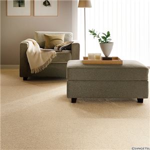 サンゲツカーペット サンワイズ 色番WS-2 サイズ 80cm×200cm 【防ダニ】 【日本製】