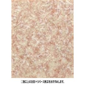 サンゲツ 住宅用クッションフロア 2m巾フロア プレーン 色番XM-2202 サイズ 200cm巾×1m 【日本製】