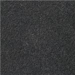 東リ カーペット ボンフリー カラー BF5226 サイズ 200cm×240cm 【防ダニ】 【日本製】
