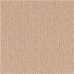 東リ カーペット ボンフリー カラー BF5243 サイズ 140cm×200cm 【防ダニ】 【日本製】