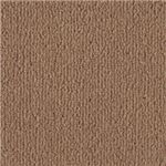 東リ カーペット ボンフリー カラー BF5251 サイズ 220cm×220cm 円形 【防ダニ】 【日本製】