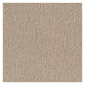 東リ カーペット ボンフリー カラー BF5252 サイズ 220cm×220cm 円形 【防ダニ】 【日本製】