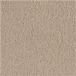 東リ カーペット ボンフリー カラー BF5252 サイズ 220cm×220cm 円形 【防ダニ】 【日本製】