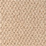 東リ カーペット マスターフル カラー MF4107 サイズ 220cm×220cm 円形 【防ダニ】 【日本製】