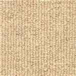 東リ カーペット ニューカントリーホーム カラー NC3511 サイズ 220cm×220cm 円形 【防ダニ】 【日本製】
