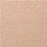 東リ カーペット レモード カラー NL1806 サイズ 80cm×200cm 【防ダニ】 【日本製】