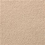 東リ カーペット レモード カラー NL1810 サイズ 220cm×220cm 円形 【防ダニ】 【日本製】