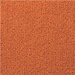 東リ カーペット レモード カラー NL1813 サイズ 200cm×300cm 【防ダニ】 【日本製】