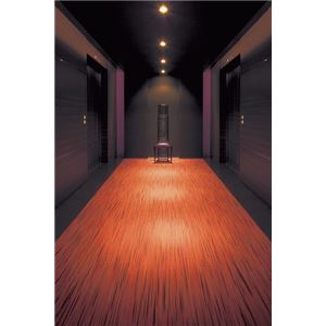 東リ カーペット シャサーヌ カラー SA4412 サイズ 200cm×240cm 【防ダニ】 【日本製】