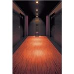 東リ カーペット シャサーヌ カラー SA4412 サイズ 200cm×300cm 【防ダニ】 【日本製】