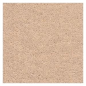 東リ カーペット ヴェルファー カラー VF6134 サイズ 140cm×200cm 【防ダニ】 【日本製】