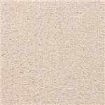 東リ カーペット ヴェルファー カラー VF6144 サイズ 200cm×200cm 【防ダニ】 【日本製】