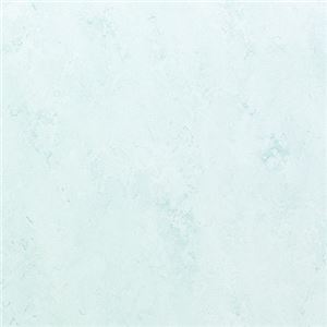 東リ ビニル床タイル フェイソールプルス サイズ 45cm×45cm 色 FPT2033 14枚セット【日本製】
