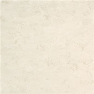 東リ ビニル床タイル フェイソールプルス サイズ 45cm×45cm 色 FPT2061 14枚セット【日本製】