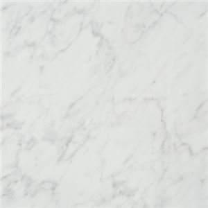 東リ ビニル床タイル ロイヤルストーン サイズ 45cm×45cm 色 PST775 カララホワイト 14枚セット【日本製】