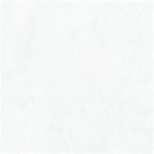 東リ ビニル床タイル ロイヤルストーン サイズ 45cm×45cm 色 PST790 （鏡面）カピストラーノ 14枚セット【日本製】