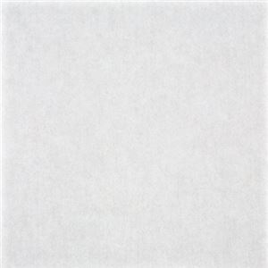 東リ ビニル床タイル ロイヤルウッド 木目調 45cm×45cm 色 PWT653 ウッド 木目調グレイン 14枚セット【日本製】