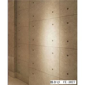 コンクリート調 のりなし壁紙 サンゲツ FE-3827 92cm巾 50m巻【防カビ】【日本製】