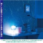 光る壁紙（蓄光） のりなしタイプ サンゲツ FE-4039 92cm巾 30m巻【防カビ】【日本製】
