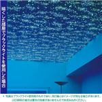 光る壁紙（蓄光） のりなしタイプ サンゲツ FE-4041 93cm巾 40m巻【防カビ】【日本製】