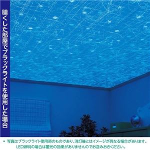 光る壁紙（蓄光） のりなしタイプ サンゲツ FE-4042 92cm巾 5m巻【防カビ】【日本製】