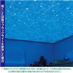光る壁紙（蓄光） のりなしタイプ サンゲツ FE-4042 92cm巾 5m巻【防カビ】【日本製】