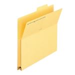 プラス 持出しフォルダー FL-061PF A4E 黄 100枚