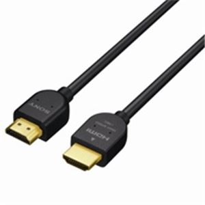 SONY(ソニー) HDMIケーブル DLC-HJ30B