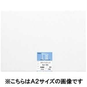 桜井 スターパックトレス ツヤ消 A160 60G 100枚