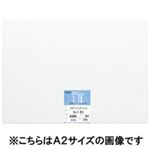 桜井 スターパックトレス ツヤ消 A160 60G 100枚