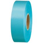 ジョインテックス カラーリボン水色 24mm*25m10個 B824J-SK10