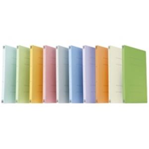 プラス フラットファイル 紙バインダー 2穴 021N A4Sアイボリー100冊