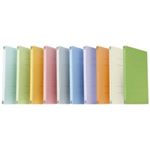 プラス フラットファイル 紙バインダー 2穴 021N A4Sアイボリー100冊