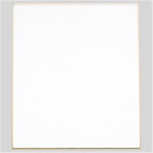 （まとめ買い）ながとや 色紙 シ-551 画仙 【×30セット】