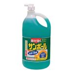 （まとめ買い）大日本除蟲菊 サンポール 業務用 5L 【×20セット】