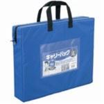 （まとめ買い）ミワックス キャリーバッグ CB-550-BU B4 マチ付 青 【×2セット】