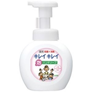 （まとめ買い）ライオン キレイキレイ 泡ハンドソープ250ml 【×30セット】