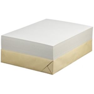 （まとめ買い）セキレイ 白ボール紙 CA3 A3 100枚 【×2セット】