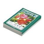 （まとめ買い）ショウワノート 国語 JL-8-1 8マス 10冊 【×3セット】