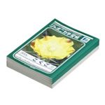 （まとめ買い）ショウワノート 国語 JL-10 15マス 10冊 【×3セット】
