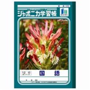 （まとめ買い）ショウワノート 国語 JL-11 12行 10冊 【×3セット】