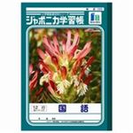 （まとめ買い）ショウワノート 国語 JL-11 12行 10冊 【×3セット】
