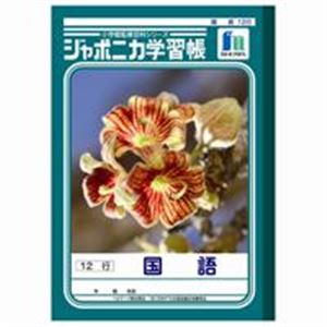 （まとめ買い）ショウワノート 国語 JL-11-1 12行 10冊 【×3セット】