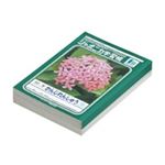 （まとめ買い）ショウワノート 漢字練習 JL-48 50字 10冊 【×3セット】