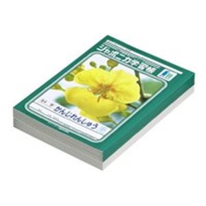（まとめ買い）ショウワノート 漢字練習 JL-49 84字 10冊 【×3セット】