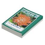 （まとめ買い）ショウワノート 自由帳 JL-72 10冊入 【×3セット】