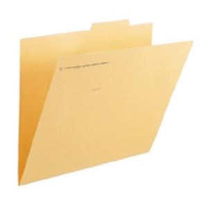 （まとめ買い）プラス 個別フォルダー FL-069IF A3E 黄 10枚 【×3セット】