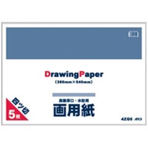 （まとめ買い）アピカ 4つ切画用紙 4ZG5 5枚 【×20セット】