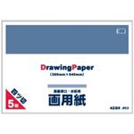 （まとめ買い）アピカ 4つ切画用紙 4ZG5 5枚 【×20セット】