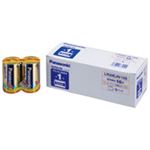 （まとめ買い）Panasonic パナソニック エボルタ乾電池 単1 LR20EJN10S(10個) 【×2セット】